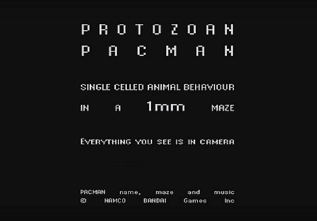 Microscopic Pacman